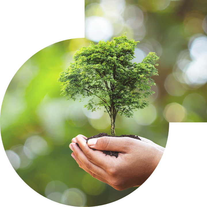 关怀人类、文化、环境与社会